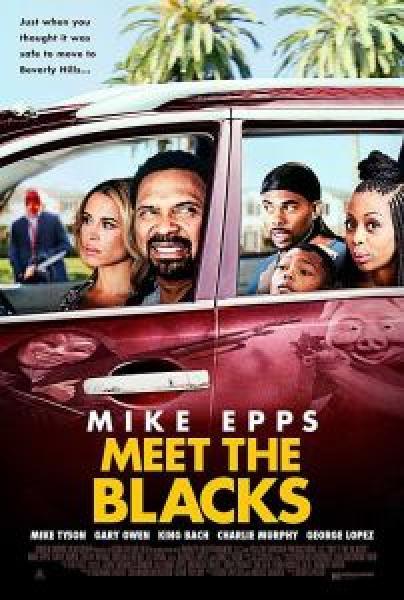 فيلم Meet the Blacks اونلاين مترجم