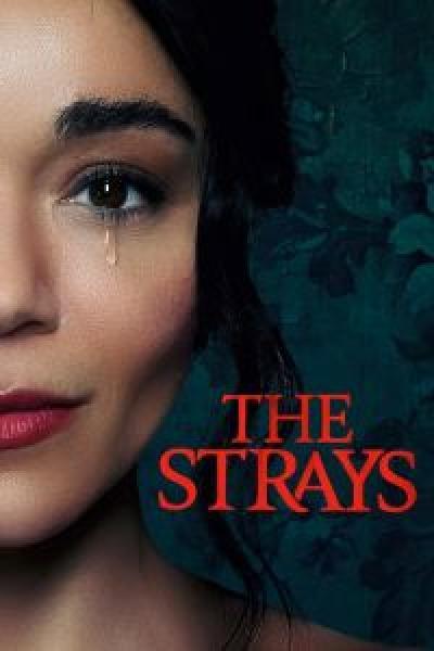 فيلم The Strays اونلاين مترجم