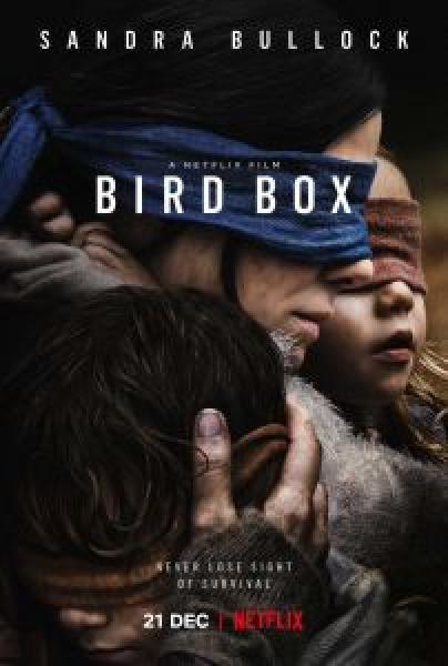 فيلم Bird Box اونلاين مترجم