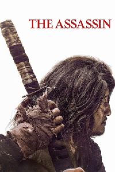 فيلم The Assassin اونلاين مترجم