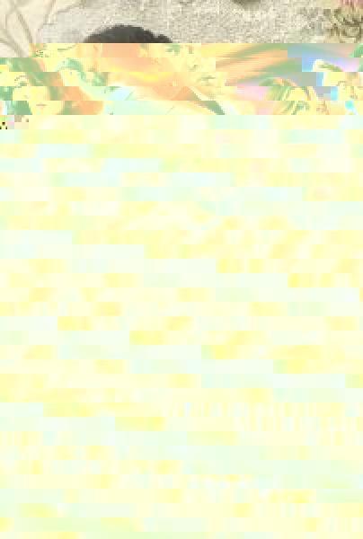 مسلسل على الهوى
