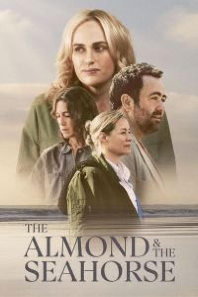 فيلم The Almond and the Seahorse اونلاين مترجم