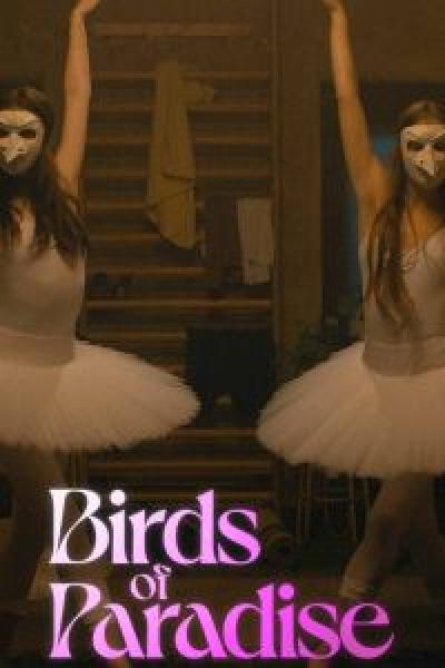 فيلم Birds of Paradise اونلاين مترجم