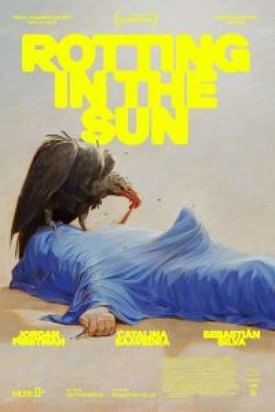 فيلم Rotting in the Sun اونلاين مترجم