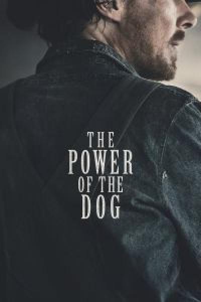 فيلم The Power of the Dog اونلاين مترجم