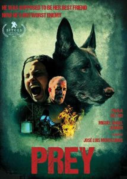 فيلم Cordes اونلاين مترجم
