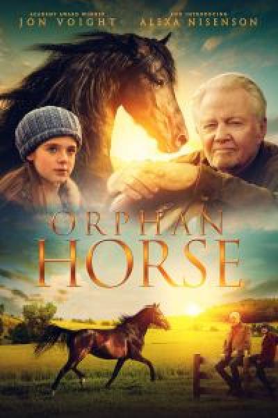 فيلم Orphan Horse اونلاين مترجم