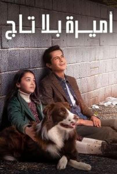 مسلسل اميرة بلا تاج الموسم 1 مدبلجة
